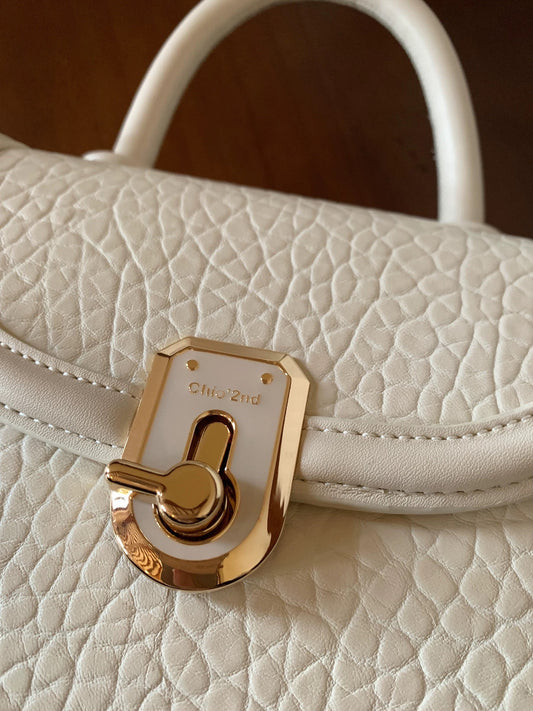 Beautiful Bags Handbags - Z04